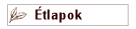 tlapok